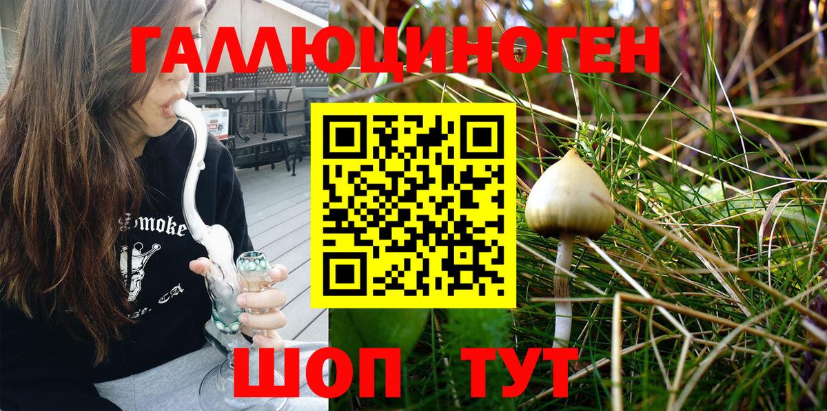 Галлюциногенные грибы Magic Shrooms  Вход с VPN  Сургут 